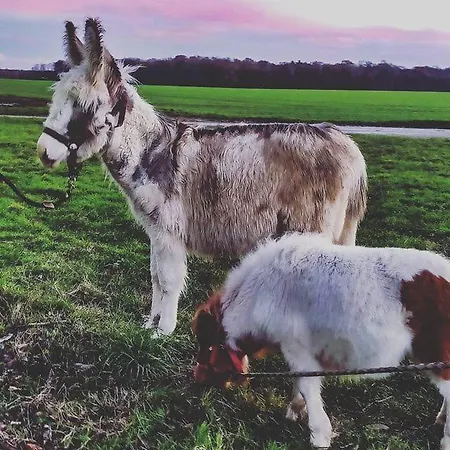 Domaine De La Ferme De Jean Grogne Maison d'hôtes *